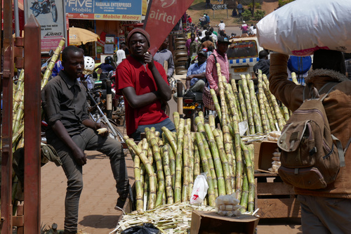 Die ostafrikanische Republik Uganda ist reich an Natur- und Bodenschätzen, ein immergrünes und saftiges Agrarland. Und trotzdem ist die Armut unübersehbar, Umweltschutz ein Fremdwort und das Bevölkerungswachstum mit 5 Prozent pro Jahr alarmierend. Für Investoren und Abenteurer gibt es reichlich Arbeit.