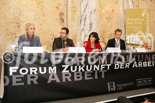 (C) fotodienst/Anna Rauchenberger - Wien, 13.11.2008 - 3. Forum Zukunft Der Arbeit: Trotz wirtschaftlich herausfordernder Zeiten bleibt der Fachkräftemangel in Österreich akut. Beim 3. Forum Zukunft der Arbeit diskutieren ExpertInnen, warum Zuwanderung ein Gewinn ist und wie sie zukünftig gesteuert werden sollte. FOTO v.l.: Univ.-Prof. DI Dr. Edeltraud Hanappi-Egger (WU Wien), Dr. Thomas Liebig (Division für Internationale Migration des Arbeitsmarktdirektorats der OECD), Zohreh Ali-Pahlavani (AK Wien, Abteilung Arbeitsmarkt), DI Herbert Paierl (Präsident Management Club)