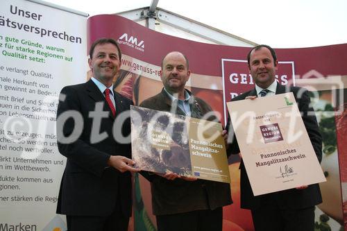 Genußregion Burgenland, Podersdorf 19.9.2008, Landwitrtschaftsminister Josef Pröll, Landesrat Niki Berlakovich, pannonisches Mangalitzaschwein