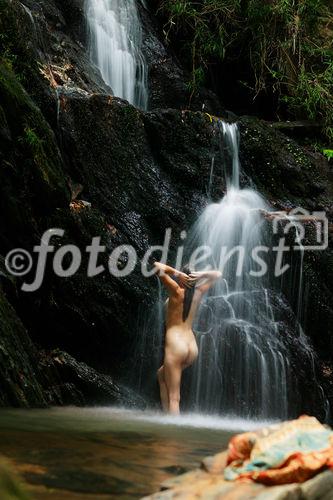 Daintree Forest Lodge Aborigines Spa Treatment and holy waterplace in the reainforest near Cape Tribulation