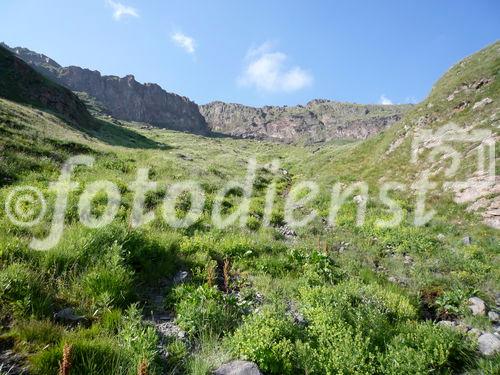 Mitarbeiter der Nachrichtenagentur pressetext haben am 22. Juli den 5.642 m hohen Kaukasus-Gipfel Elbrus bestiegen und die Entwicklung der Region nach der Olympia-Entscheidung für Sotschi untersucht.