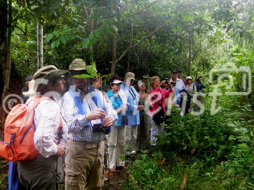 Brasilien,  Amazonas, Schiffsreise, Flussfahrt, MS Bremen, Hapag Llyod,  Sehenswürdigkeit
Natur, Umwelt, Regenwald, Urwald, Bäume, Vegetation, Fauna, Personen, Zodiac-Ausflug, Indios,

Brasil, Amazonas, River, River-cruise, Hapag Llyod, MS Bremen, excursion, landscape, rainforest, nature, trees, people, indios, explorer, adventure, vegetation,
    