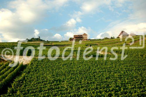 Das Weinanbaugebeit Lavaux am Genfersee zählt seit 2007 zu den Unesco-Weltkulturerbe
und offenbart den landwirtschaftlichen Reichtum am den Gestaden des Genfersees bei der Fahrt mit der Bahn von Vevey nach Lausanne.
The Wineyards of Lavaux at lake Geneve is listed since 2007 on the Unesco World heritages
and shows the agricultural richness for the farmers as well as the beautyfull landscape in between Vevey and Lausanne on the train
