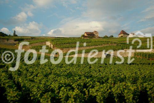 Das Weinanbaugebeit Lavaux am Genfersee zählt seit 2007 zu den Unesco-Weltkulturerbe
und offenbart den landwirtschaftlichen Reichtum am den Gestaden des Genfersees bei der Fahrt mit der Bahn von Vevey nach Lausanne.
The Wineyards of Lavaux at lake Geneve is listed since 2007 on the Unesco World heritages
and shows the agricultural richness for the farmers as well as the beautyfull landscape in between Vevey and Lausanne on the train
