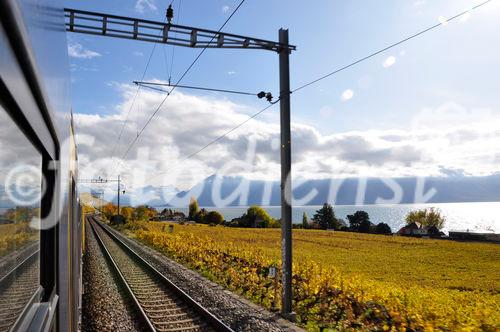 Eine Bahnreise durch das Weltkulturerbe Lavaux mit den gelb-grünen Rebhängen in farbenprächtiger Herbstblüte. A colourfull World Heritage Lavaux in automne where the wine-yards are located above Lake Geneva on the hills