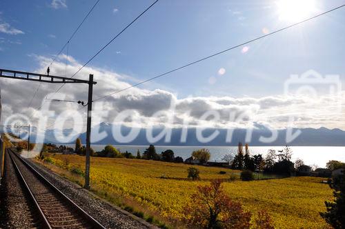 Eine Bahnreise durchs Weltkulturerbe Lavaux am Genfersee beginnt in Lausanne und endet in Vevey. Die Fahrt dauert 15 Minuten und offenbart eine spektakuläre Panoramasicht über die Weinregion mit ihren Rebhängen entlang des Genfersees. A train trip through the World Heritage Lavaux at Lake Geneva offers spectacular views to the moutains and the wineyards along the Lake