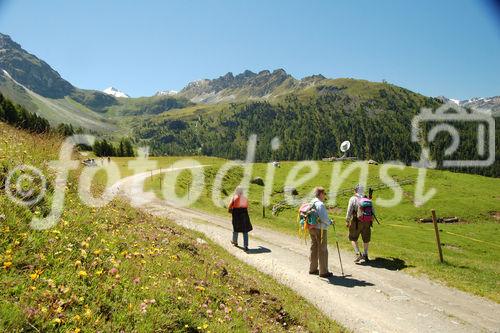 Natur- und Landschaftsschutz contra Freizeit-Tourismus: Das Val d’Anniviers bietet fünf Tagestouren rund ums Tal. Einer führt entlang des Planetenweges. Auch ein Observatorium gibt es. Die Wanderer, Biker und hiker haben fünf Viertausender vor Augen (Weisshorn, Zinaltalhorn, Oberhabelhorn, Matterhorn und Dent-Blanche). Die Wanderwege sind von blühenden Alpenwiesen gesäumt. 

The valley Anniviers near Sion/Sierre offers a 5 day trip around the swiss alps with five fourthousand meters high mountains such as Weisshorn, Zinaltalhorn, Oberhabelhorn, Matterhorn und Dent-Blanche, where the glaciers are melting due to the clima change. 
Within a few decades, the swiss Alps regions will dry out
