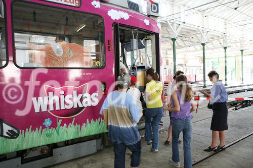 (C) fotodienst/Anna Rauchenberger - Wien, 24.06.2008 - Die fünf beliebtesten Katzenbilder des einzigartigen WHISKAS-Malwettbewerbs stehen fest. Aus unglaubliche 31.144 Bildern hat das Publikum vom 1. April bis 30. April die fünf Siegerbilder beim Online-Voting gekürt. Diese werden ein halbes Jahr den Wiener D-Wagen schmücken. 