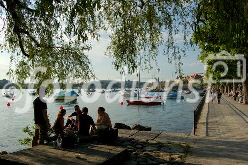 Picknick am Zürichseeufer, Personen, Essen, Trinken, Feiern, Fanzone, Europa-Fussballmeisterschaft, EM08, EURO 08, Picknick at the boarder oflake Zürich in 
the fanzone for the european football-championsship