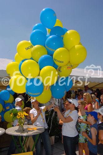 Mitarbeiterfest Firma Dachser Hörsching bei Linz