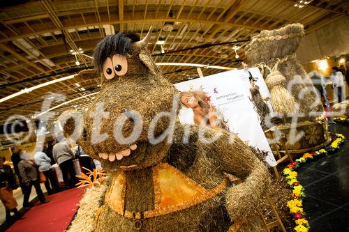 Ferien-Messe-Salzburg, Messezentrum; 2008-02-21. (C) fotodienst/Chris Hofer