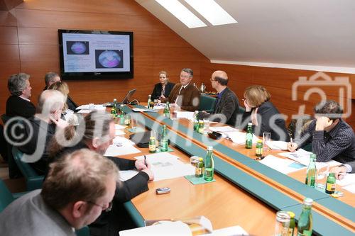 (C) fotodienst/Anna Rauchenberger - Wien 29.01.2008  - Großes journalistisches Interesse bei der Sanochemia - Bilanzpressekonferenz. 