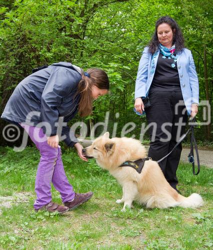 (c) fotodienst / Anna Rauchenberger - Wien, am 26.04.2011 - Das Gesundheitsministerium und der Verein 'Tierschutz macht Schule' präsentierten eine neue Initiative 'Mensch und Tier, aber sicher!' im Schönbrunner Schlosspark. FOTO: Ein Mädchen und Mag. Gudrun Braun, Hundeexpertin, zeigen, wie man sich Hunden richtig nähert.