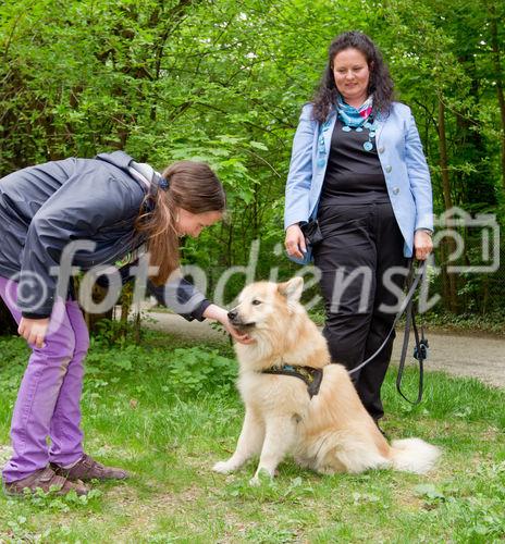 (c) fotodienst / Anna Rauchenberger - Wien, am 26.04.2011 - Das Gesundheitsministerium und der Verein 'Tierschutz macht Schule' präsentierten eine neue Initiative 'Mensch und Tier, aber sicher!' im Schönbrunner Schlosspark. FOTO: Ein Mädchen und Mag. Gudrun Braun, Hundeexpertin, zeigen, wie man sich Hunden richtig nähert.