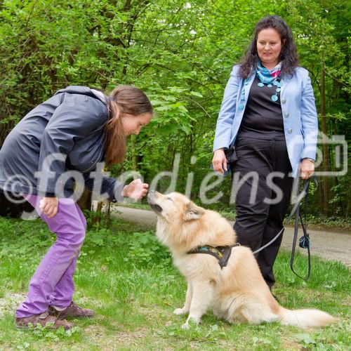 (c) fotodienst / Anna Rauchenberger - Wien, am 26.04.2011 - Das Gesundheitsministerium und der Verein 'Tierschutz macht Schule' präsentierten eine neue Initiative 'Mensch und Tier, aber sicher!' im Schönbrunner Schlosspark. FOTO: Ein Mädchen und Mag. Gudrun Braun, Hundeexpertin, zeigen, wie man sich Hunden richtig nähert.