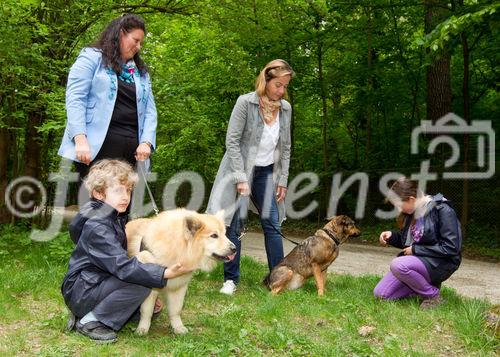 (c) fotodienst / Anna Rauchenberger - Wien, am 26.04.2011 - Das Gesundheitsministerium und der Verein 'Tierschutz macht Schule' präsentierten eine neue Initiative 'Mensch und Tier, aber sicher!' im Schönbrunner Schlosspark. FOTO: Mag. Gudrun Braun, Hundeexpertin (links), Monika Weinzettl, Schauspielerin,  und zwei Kinder zeigen, wie man richtig mit Hunden umgeht.