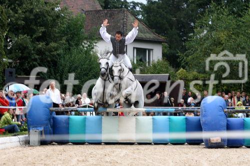 Showprogramm(Lorenzo)