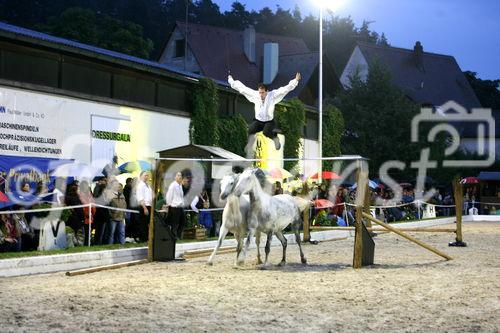 Showprogramm(Lowrenzo