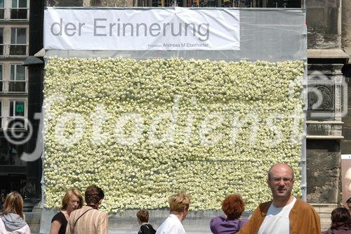 (c) Fotodienst/ Daniel K. Gebhart - A Letter To The Stars - Blumen der Erinnerung.