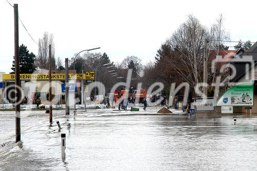 (C) fotodienst/Walter Vymyslicky - Dürnkrut 03.04.2006 - FOTO.: DürTitelfoto: Hochwasserkatastrophe in Dürnkrut