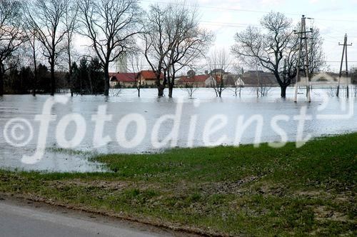 In den Hochwassergebieten an der March ist kein Ende der Überflutungen in Sicht - im Gegenteil. Die Lage könnte sich in den kommenden Tagen weiter zuspitzen, denn im tschechischen Einzugsgebiet der March werden weitere Niederschläge erwartet. In Stillfried bewahrt nur noch eine Bundesstraße den tiefer gelegenen Ortsteil vor den Wassermassen. Und mit jeder Stunde steigt die Gefahr weiterer Dammbrüche.
