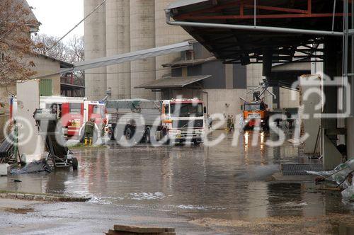 (C) fotodienst/Walter Vymyslicky - Dürnkrut 03.04.2006 - FOTO.: Ein Teil des in der Mühle gelagerten Weizens wurde in Sicherheit gebracht