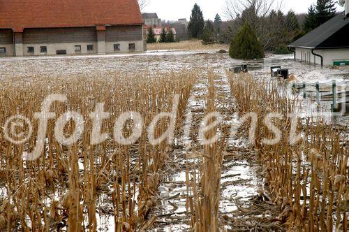 (C) fotodienst/Walter Vymyslicky - Dürnkrut 03.04.2006 - FOTO.: Das Clubhaus des Tennisvereines Dürnkrut