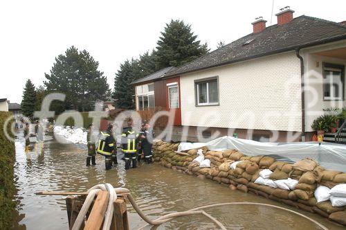 (C) fotodienst/Walter Vymyslicky - Dürnkrut 03.04.2006 - FOTO.: Die Feuerwehr errichtete Barrieren aus Sandsäcken
