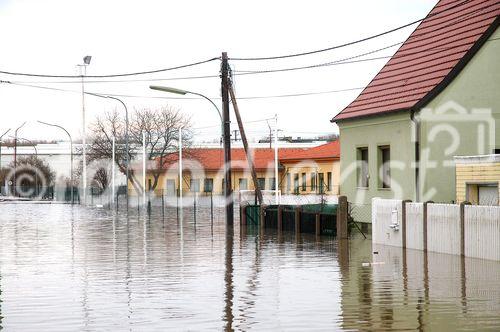 (C) fotodienst/Walter Vymyslicky - Dürnkrut 03.04.2006 - FOTO.: Vom Sportplatz sieht man nur mehr einen kleinen Teil des Tores