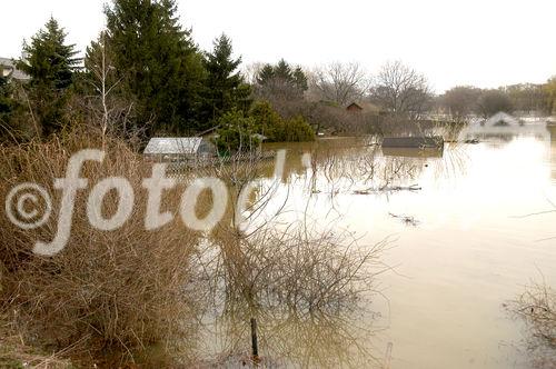 (C) fotodienst/Walter Vymyslicky - Angern 05.04.2006 - FOTO.: Viele Häuser und Hütten stehen am Marchufer unter Wasser