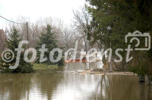 (C) fotodienst/Walter Vymyslicky - Stillfried 05.04.2006 - FOTO.: Auch in Stillfried brachten Feuerwehrleute die Bewohner zu ihren Häusern
