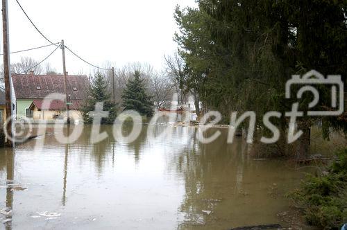 (C) fotodienst/Walter Vymyslicky - Stillfried 05.04.2006 - FOTO.: Auch in Stillfried brachten Feuerwehrleute die Bewohner zu ihren Häusern