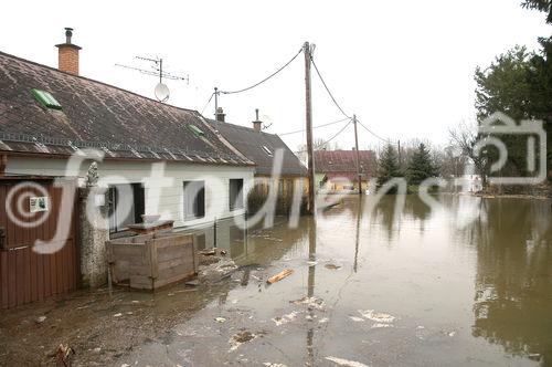 (C) fotodienst/Walter Vymyslicky - Stillfried 05.04.2006 - FOTO.: Auch in Stillfried wurden Häuser überflutet