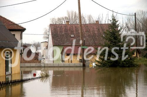 (C) fotodienst/Walter Vymyslicky - Stillfried 05.04.2006 - FOTO.: Auch in Stillfried wurden Häuser überflutet