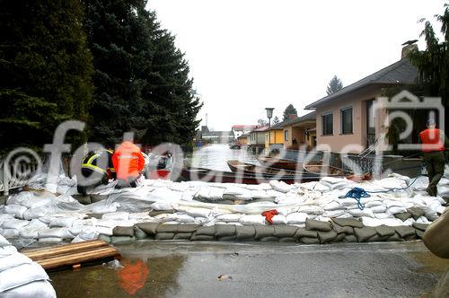 (C) fotodienst/Walter Vymyslicky - Dürnkrut 05.04.2006 - FOTO.: Diese Häuser können nur mehr mit dem Boot erreicht werden.
