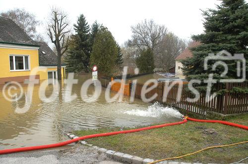 (C) fotodienst/Walter Vymyslicky - Angern 05.04.2006 - FOTO.: Die Häuser entlang der March stehen alle unter Wasser.