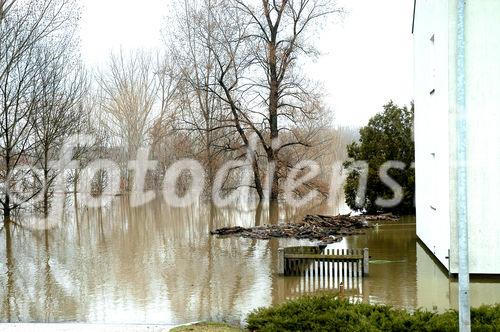 (C) fotodienst/Walter Vymyslicky - Angern 05.04.2006 - FOTO.: Die March breitet sich immer mehr aus.