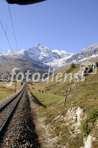 Seit 100 Jahren fährt die Bernina Bahn über den Bernina-Hospitz ins Puschlav. 100 year celebration of the Bernina railway from Pontresina to Posciavo