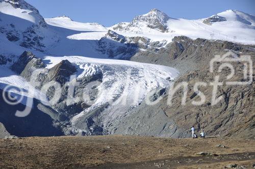 Infolge der Klimaerwärmung schmelzen die Gletscher in rasantem Tempo wie hier beim Grenzgletscheram Fusse der Dufourspitze. 