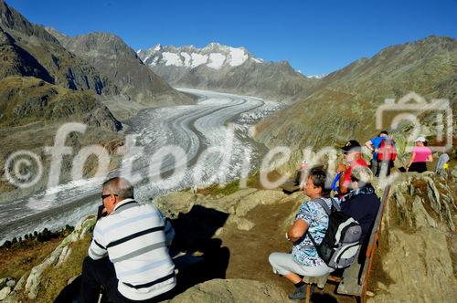 Von der Moosfluh (auf 2333 MüM) oberhalb der Riederalp haben Wanderer und Biker einen herrlichen Blick auf den längsten Gletscher der Schweizer Alpen. From Moosfluh above Riederalp trekkers and bikers have a wonderfull view to the longest melting glacier in the Swiss Alps