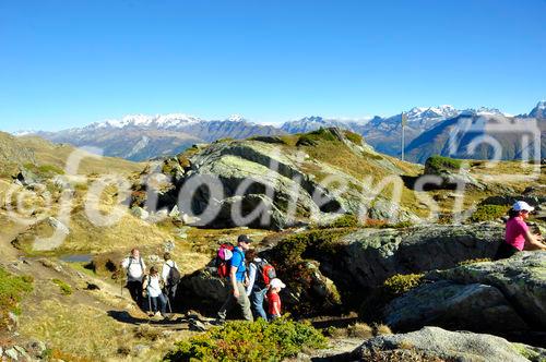 Wunderschöne Wanderwege und fantastisches Gebirgspanorama locken die Touristen auf der Riederalp. Wonderfull trekking path and swiss alp panoramic views are attracting the tourists to come to the Riederalp.