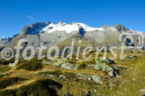 Wanderregion mit fantastische Alpenpanoramasicht auf das Fusshorn und den schmelzenden Gletscher. Swiss alps trekking region Riederalp/Moosfluh and panoramic view to the Fusshorn and the melting glacier