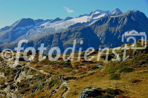 Alpenpanorama mit Nesthorn, Breithorn und Bietschhorn von der Mossflu/riederalp aus. Swiss alps panoramic view to the Nesthorn, Breithorn und Bietschhorn from Riederalp/Moosfluh. 