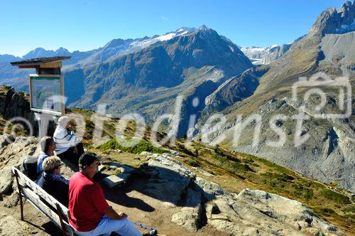 Von der Moosfluh (auf 2333 MüM) auf der Riederalp haben Wanderer und Biker einen herrlichen Blick auf Nesthorn, Breithorn und Schinhorn. From Moosfluh on Riederalp trekkers and bikers have a wonderfull view to the Nesthorn, Breithorn und Schinhorn.