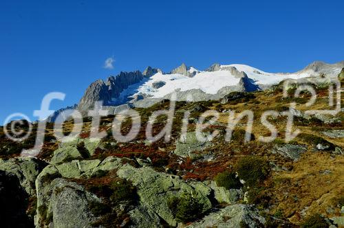 Wanderwege durch die herbstliche Alpenflora auf der Moosfluh/ Riederalp. Trekking path on Moosfluh/Riederalp near Aletschglacier and Fusshorn. 