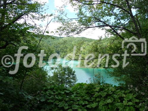 Die Plitvicer Seen in Kroatien zählen zu den größten und schönsten Nationalparks Europas. Offiziell 1949 gegründet wurde das knapp 300 km2 große Gebiet im hügeligen Karstgebiet unweit der Grenze zu Bosnien-Herzegowina 1979 als eines der ersten Naturdenkmäler weltweit in das UNESCO-Weltnaturerbe aufgenommen. Zu Ostern 1991 begann hier der Jugoslawien-Krieg mit blutigen Auseinandersetzungen zwischen serbischen Aufständischen und kroatischen Spezialeinheiten. Heute besuchen den Park jährlich etwa 900.000 Besucher. 