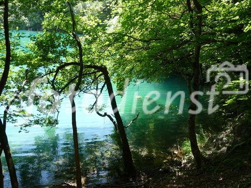 Die Plitvicer Seen in Kroatien zählen zu den größten und schönsten Nationalparks Europas. Offiziell 1949 gegründet wurde das knapp 300 km2 große Gebiet im hügeligen Karstgebiet unweit der Grenze zu Bosnien-Herzegowina 1979 als eines der ersten Naturdenkmäler weltweit in das UNESCO-Weltnaturerbe aufgenommen. Zu Ostern 1991 begann hier der Jugoslawien-Krieg mit blutigen Auseinandersetzungen zwischen serbischen Aufständischen und kroatischen Spezialeinheiten. Heute besuchen den Park jährlich etwa 900.000 Besucher. 