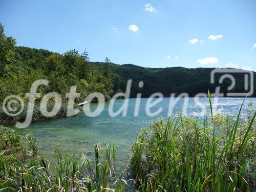 Die Plitvicer Seen in Kroatien zählen zu den größten und schönsten Nationalparks Europas. Offiziell 1949 gegründet wurde das knapp 300 km2 große Gebiet im hügeligen Karstgebiet unweit der Grenze zu Bosnien-Herzegowina 1979 als eines der ersten Naturdenkmäler weltweit in das UNESCO-Weltnaturerbe aufgenommen. Zu Ostern 1991 begann hier der Jugoslawien-Krieg mit blutigen Auseinandersetzungen zwischen serbischen Aufständischen und kroatischen Spezialeinheiten. Heute besuchen den Park jährlich etwa 900.000 Besucher. 