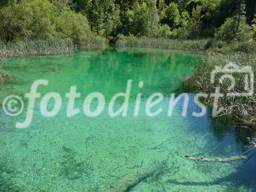 Die Plitvicer Seen in Kroatien zählen zu den größten und schönsten Nationalparks Europas. Offiziell 1949 gegründet wurde das knapp 300 km2 große Gebiet im hügeligen Karstgebiet unweit der Grenze zu Bosnien-Herzegowina 1979 als eines der ersten Naturdenkmäler weltweit in das UNESCO-Weltnaturerbe aufgenommen. Zu Ostern 1991 begann hier der Jugoslawien-Krieg mit blutigen Auseinandersetzungen zwischen serbischen Aufständischen und kroatischen Spezialeinheiten. Heute besuchen den Park jährlich etwa 900.000 Besucher. 