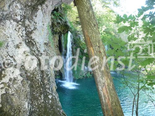 Die Plitvicer Seen in Kroatien zählen zu den größten und schönsten Nationalparks Europas. Offiziell 1949 gegründet wurde das knapp 300 km2 große Gebiet im hügeligen Karstgebiet unweit der Grenze zu Bosnien-Herzegowina 1979 als eines der ersten Naturdenkmäler weltweit in das UNESCO-Weltnaturerbe aufgenommen. Zu Ostern 1991 begann hier der Jugoslawien-Krieg mit blutigen Auseinandersetzungen zwischen serbischen Aufständischen und kroatischen Spezialeinheiten. Heute besuchen den Park jährlich etwa 900.000 Besucher. 